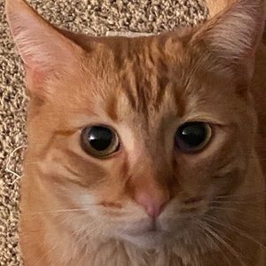 Meet your Posher, Roberta